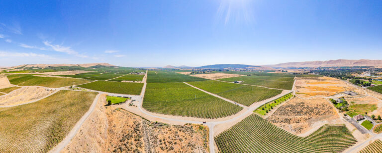Klipsun Vineyard Red Mountain Washington