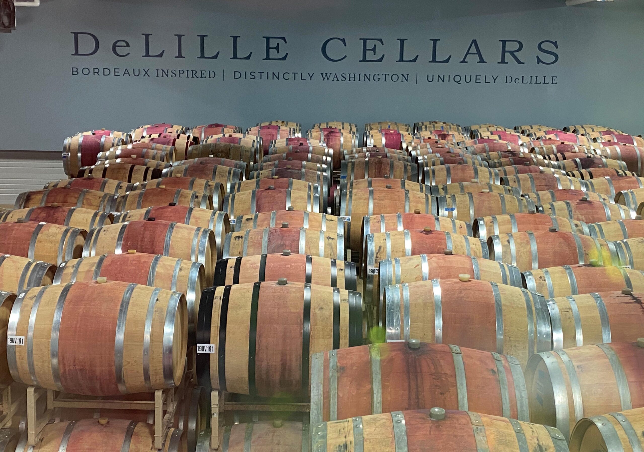 Winery Tour & Food Pairing Experience