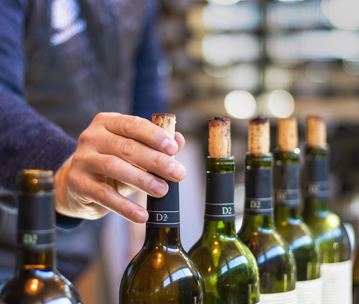 Library Wine Tasting