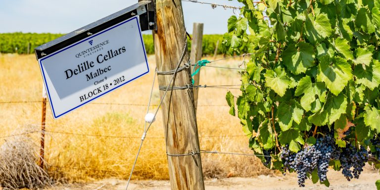Quintessence Vineyard Red Mountain Washington