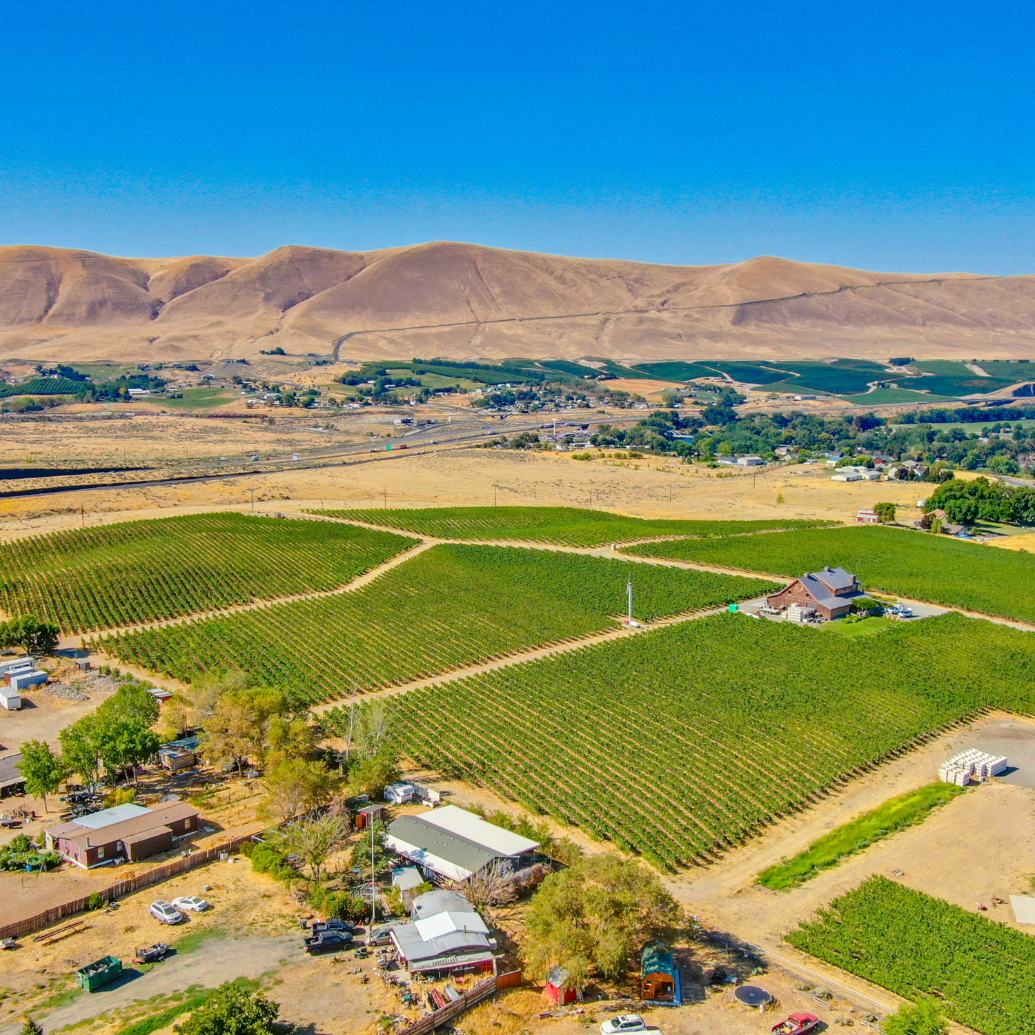Upchurch Vineyard