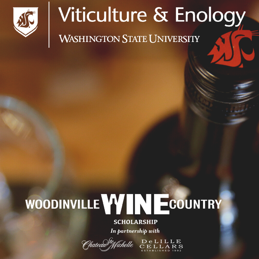 Wine Industry Network